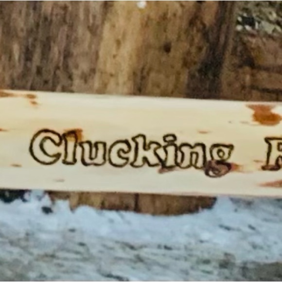 SOLD- Clucking Fun Chicken Swing - Picture 5 of 7